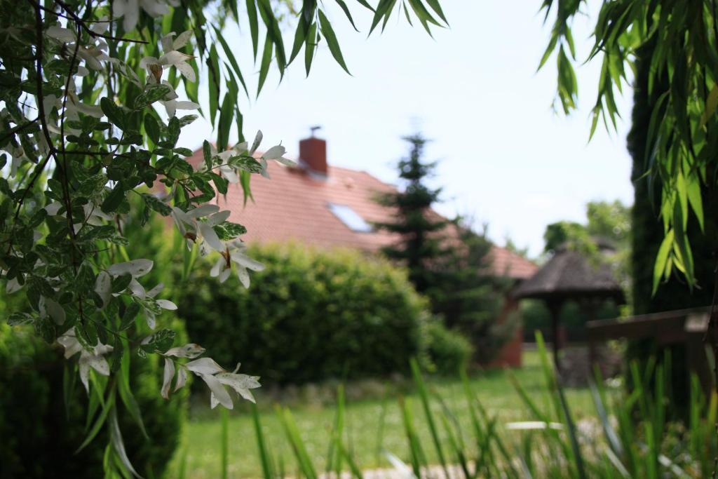 Landhotel Zur Schmiede Gohren-Lebbin Bagian luar foto